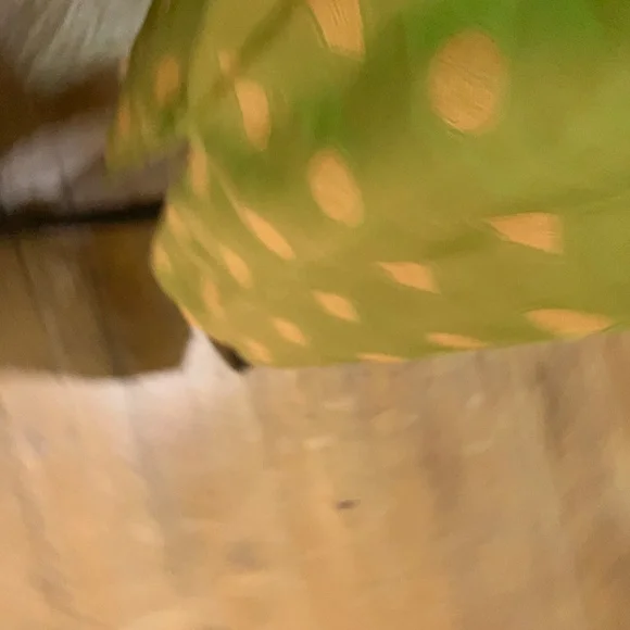 Green and Gold Silk Skirt - Picture 4 of 12